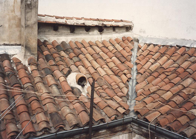 Edificio Rehabilitado en Calle Campomanes