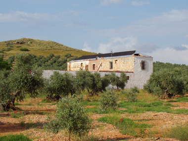 Rehabilitacin de Quintera. Torrenueva, Ciudad Real