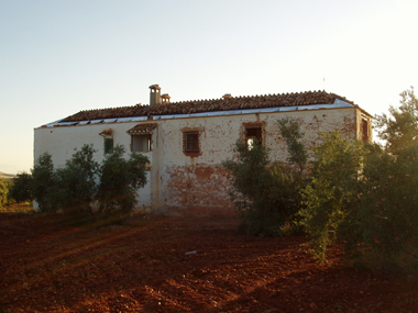 Rehabilitacin de Quintera. Torrenueva, Ciudad Real