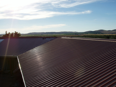 Rehabilitacin de Quintera. Torrenueva, Ciudad Real